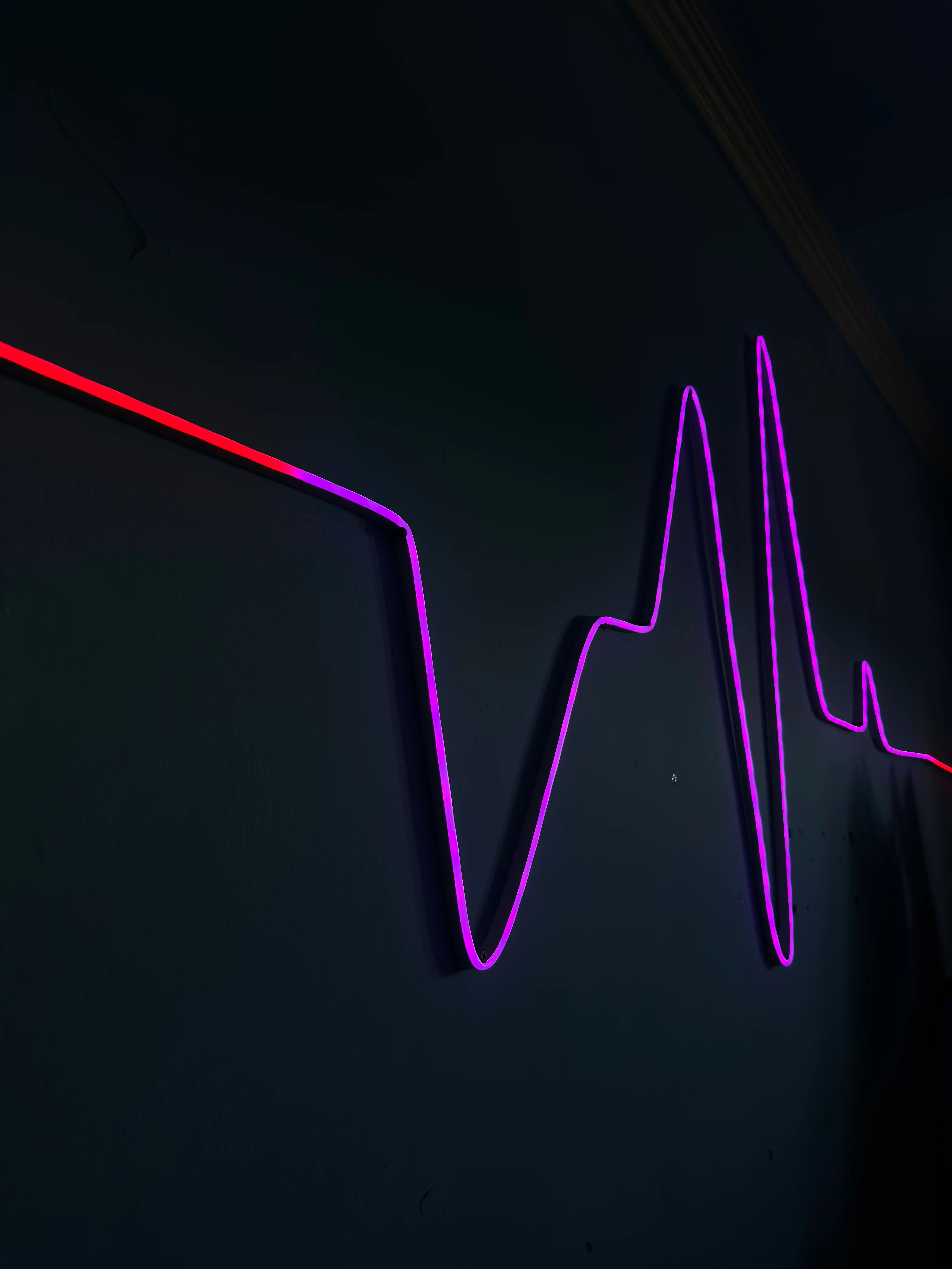 LED, lenta, TESS, Smart RGB IC Neon 5m USB, pult va ilova bilan LED подсветка