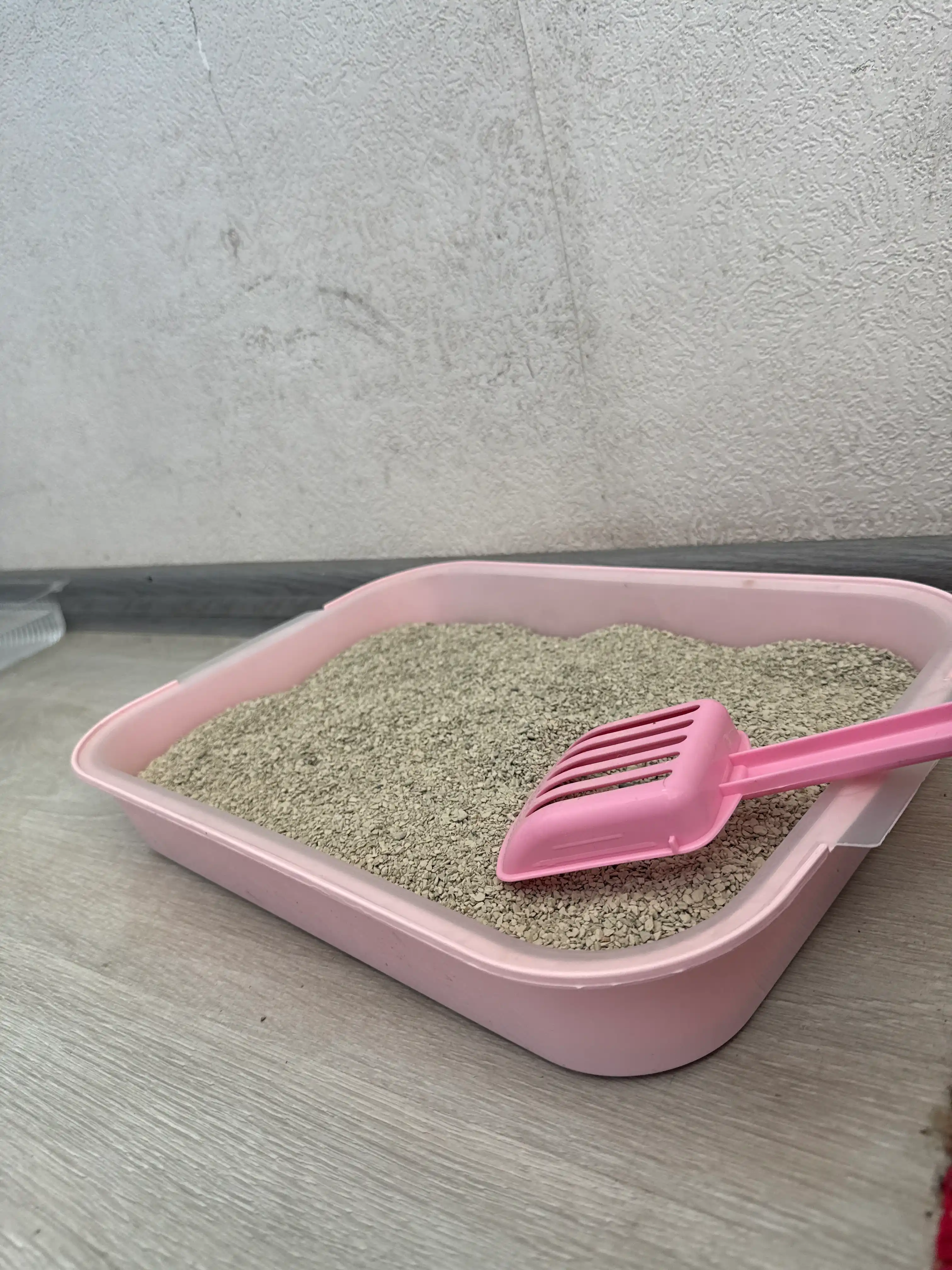 Mushuklar uchun tuvak 41*30*7sm