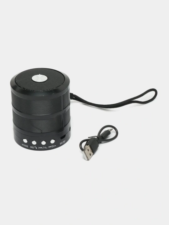 Портативная колонка WS-887, мини-колонка - 