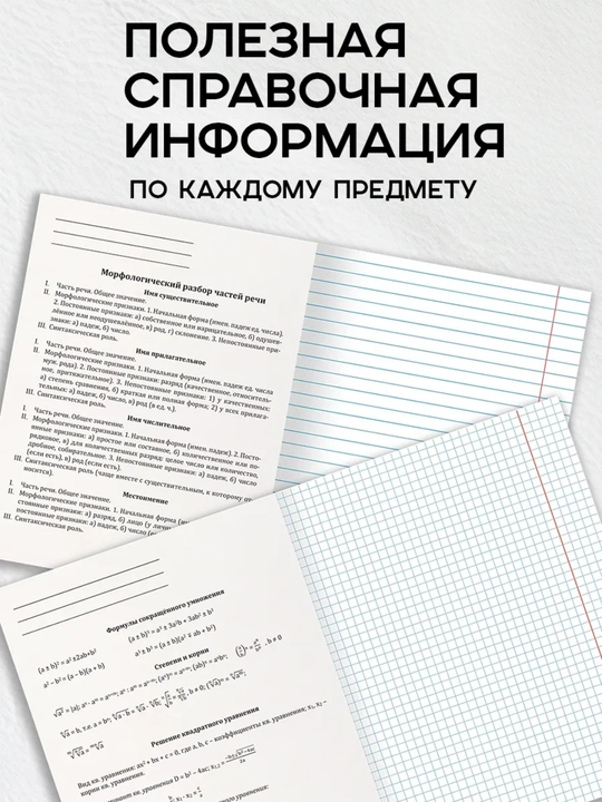 A5 formatda fan daftarlar to‘plami, 48 bet, katak va chiziqli, 10-12 dona, qo‘llanma bilan