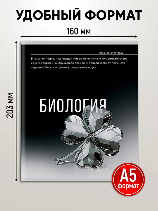 A5 formatda fan daftarlar to‘plami, 48 bet, katak va chiziqli, 10-12 dona, qo‘llanma bilan