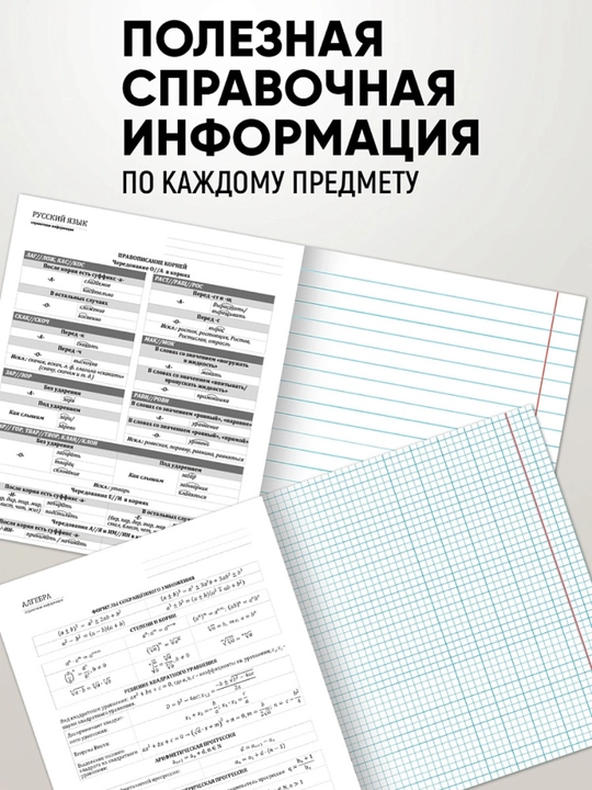 A5 formatda fan daftarlar to‘plami, 48 bet, katak va chiziqli, 10-12 dona, qo‘llanma bilan