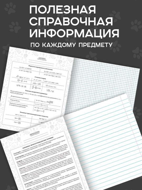 A5 formatda fan daftarlar to‘plami, 48 bet, katak va chiziqli, 10-12 dona, qo‘llanma bilan