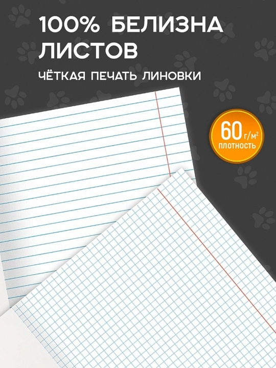 A5 formatda fan daftarlar to‘plami, 48 bet, katak va chiziqli, 10-12 dona, qo‘llanma bilan