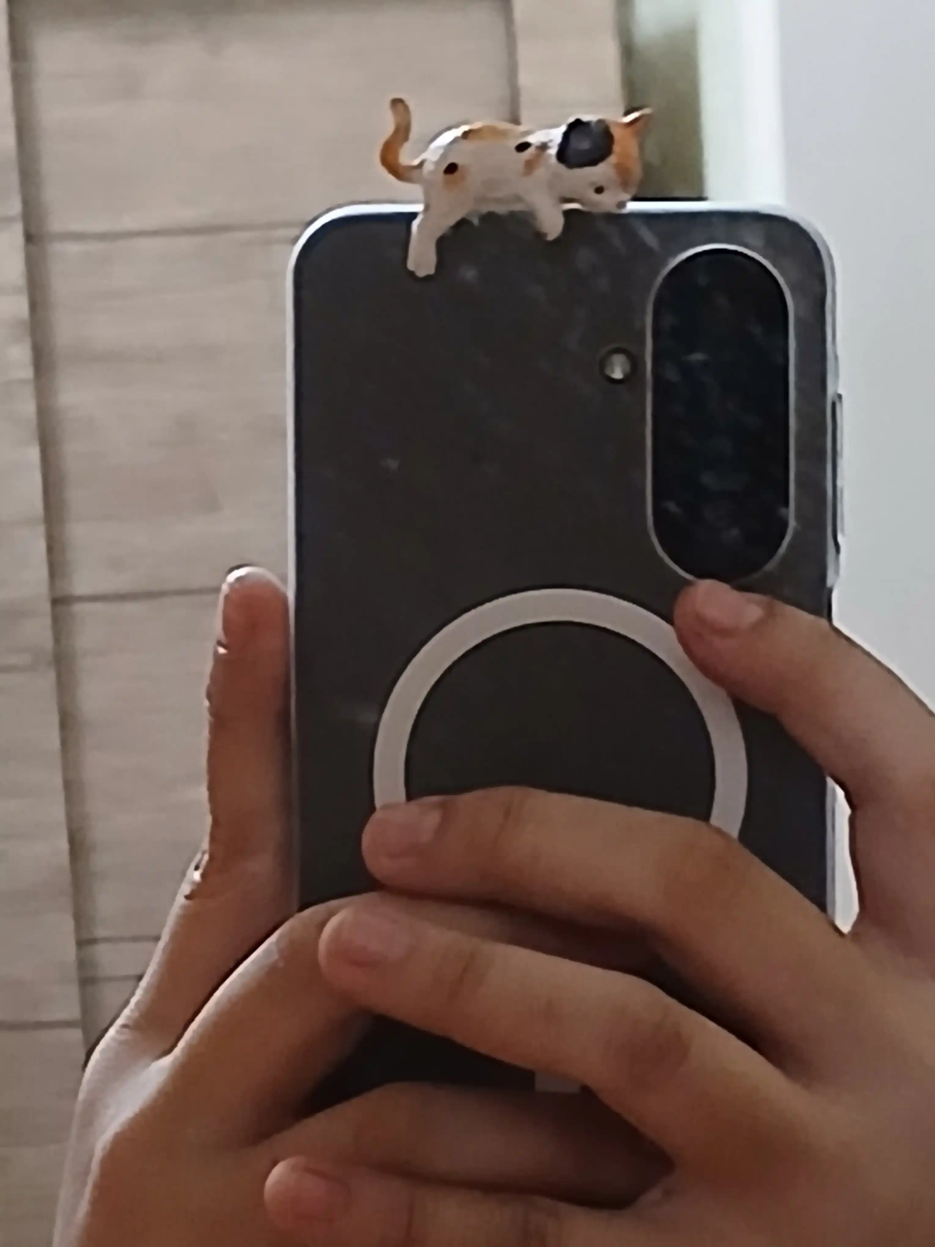 Lipuchkali Mushukcha mini figurka surpriz