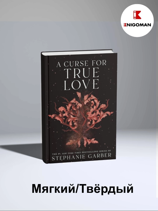 The Ballad of Never After, Once Upon a Broken Heart, A Curse For True Love - 
