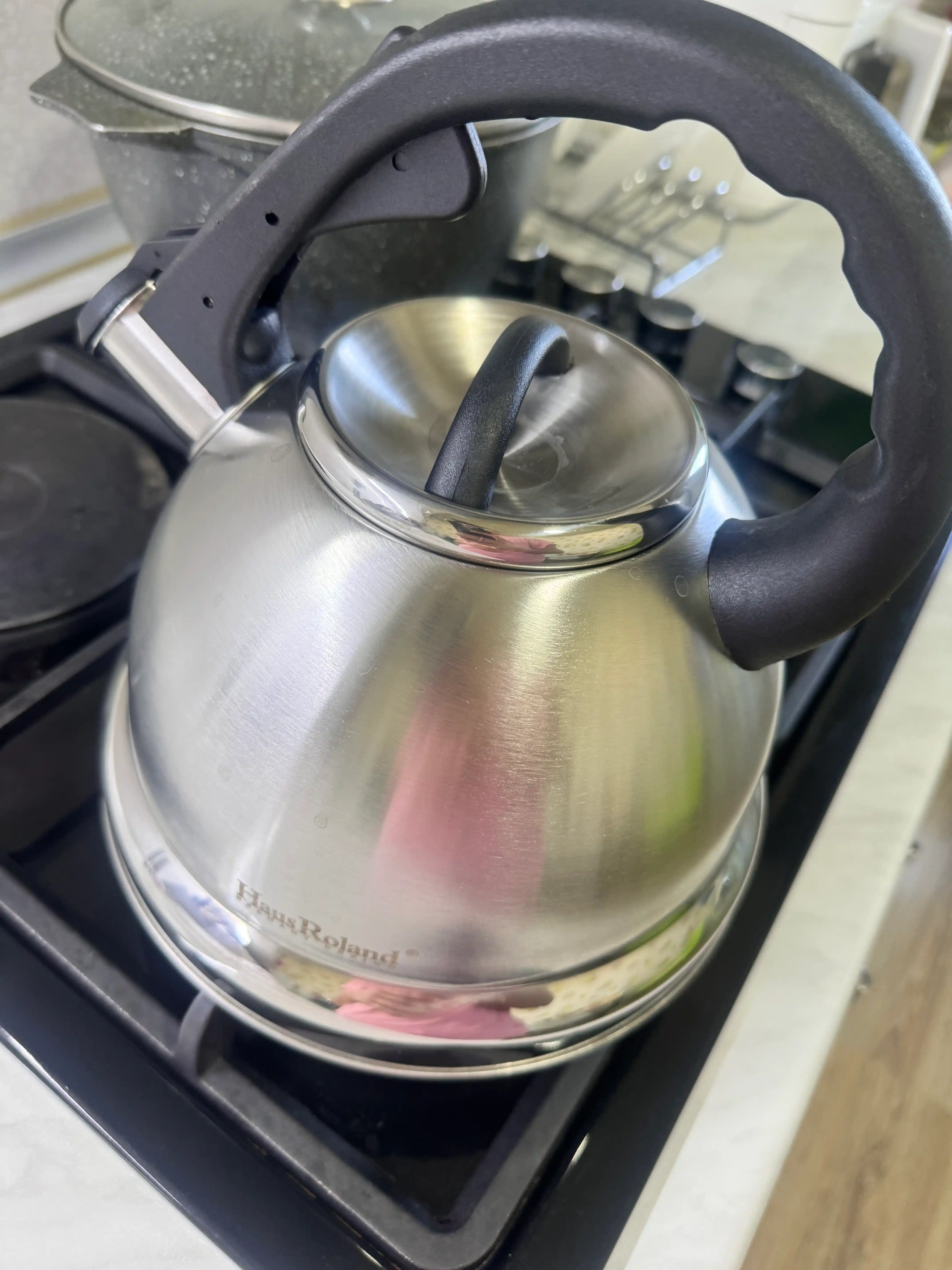 Haus Roland 3,5 lt hushtakli choynak: zanglamaydigan po‘lat, gaz va induksion plita uchun