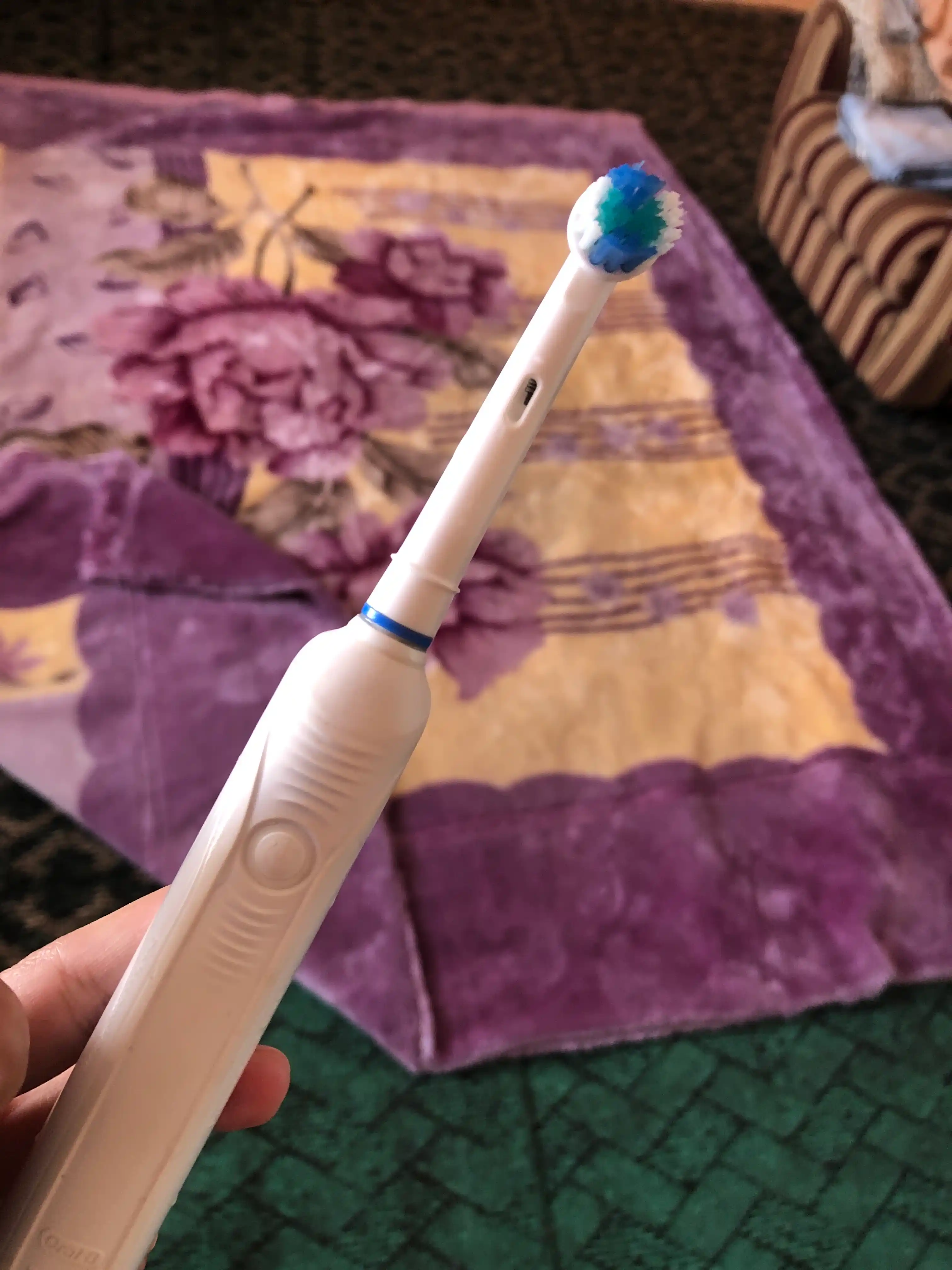 Oral-B tipidagi elektr aylana tish cho‘tkasining uchastkalar to‘plami