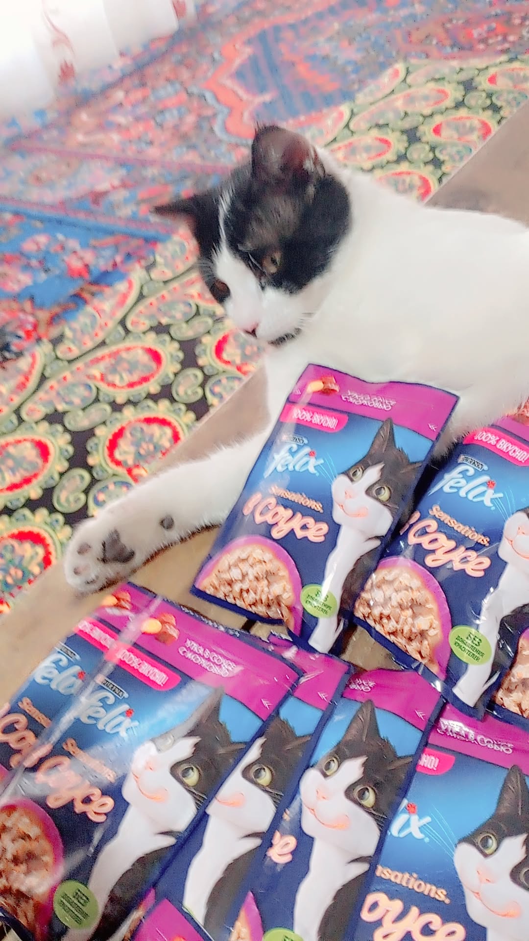 Felix Sensations mushuk nam ovqati, sousdagi sabzi va o'rdak, 75 gr 5 dona