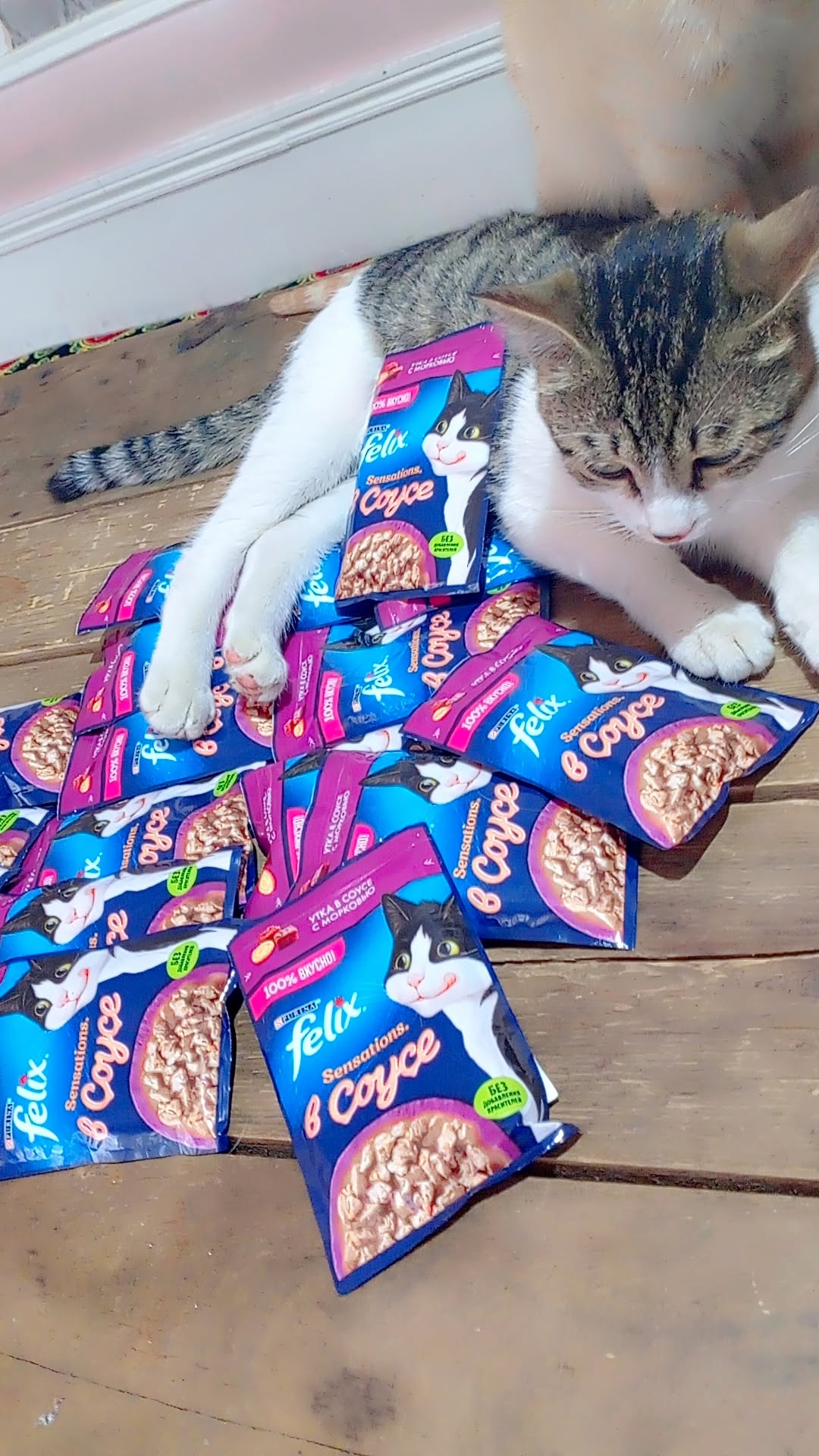 Felix Sensations mushuk nam ovqati, sousdagi sabzi va o'rdak, 75 gr 5 dona