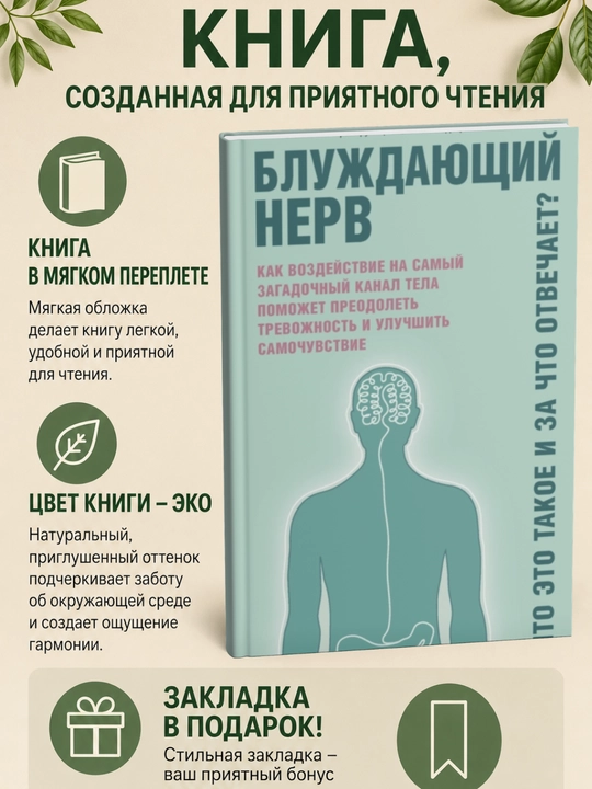 Блуждающий нерв. Что это такое и за что отвечает? Наваз Хабиб - 