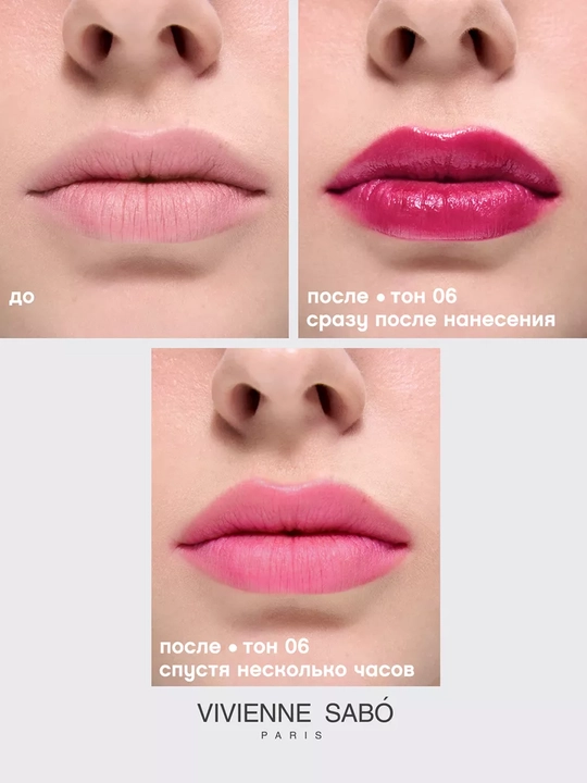 Тинт для губ VIVIENNE SABO Tititint, тон 06, 4 г