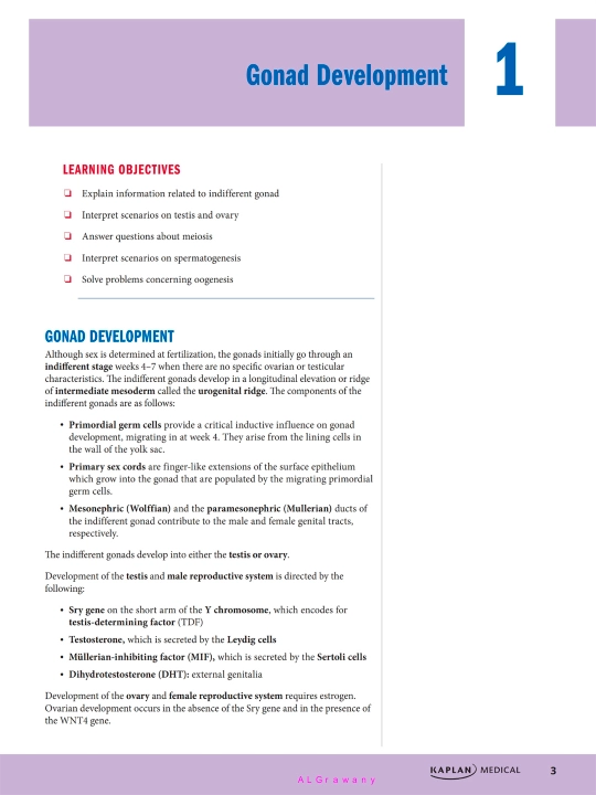 PRECLINICAL ANATOMY REVIEW 2023 — James White