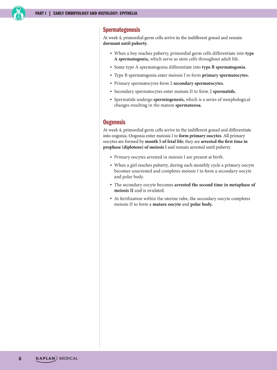 PRECLINICAL ANATOMY REVIEW 2023 — James White