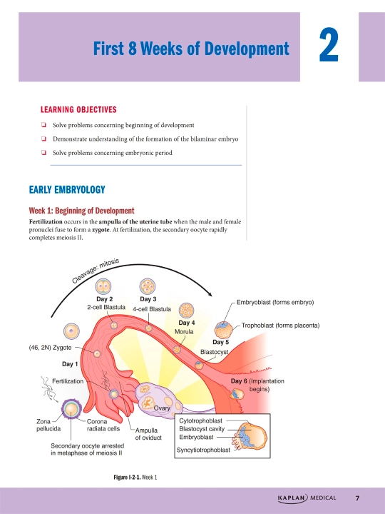 PRECLINICAL ANATOMY REVIEW 2023 — James White