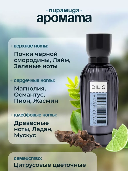 Ayollar uchun Essence of the World atir suvi, 60 ml, Dilis