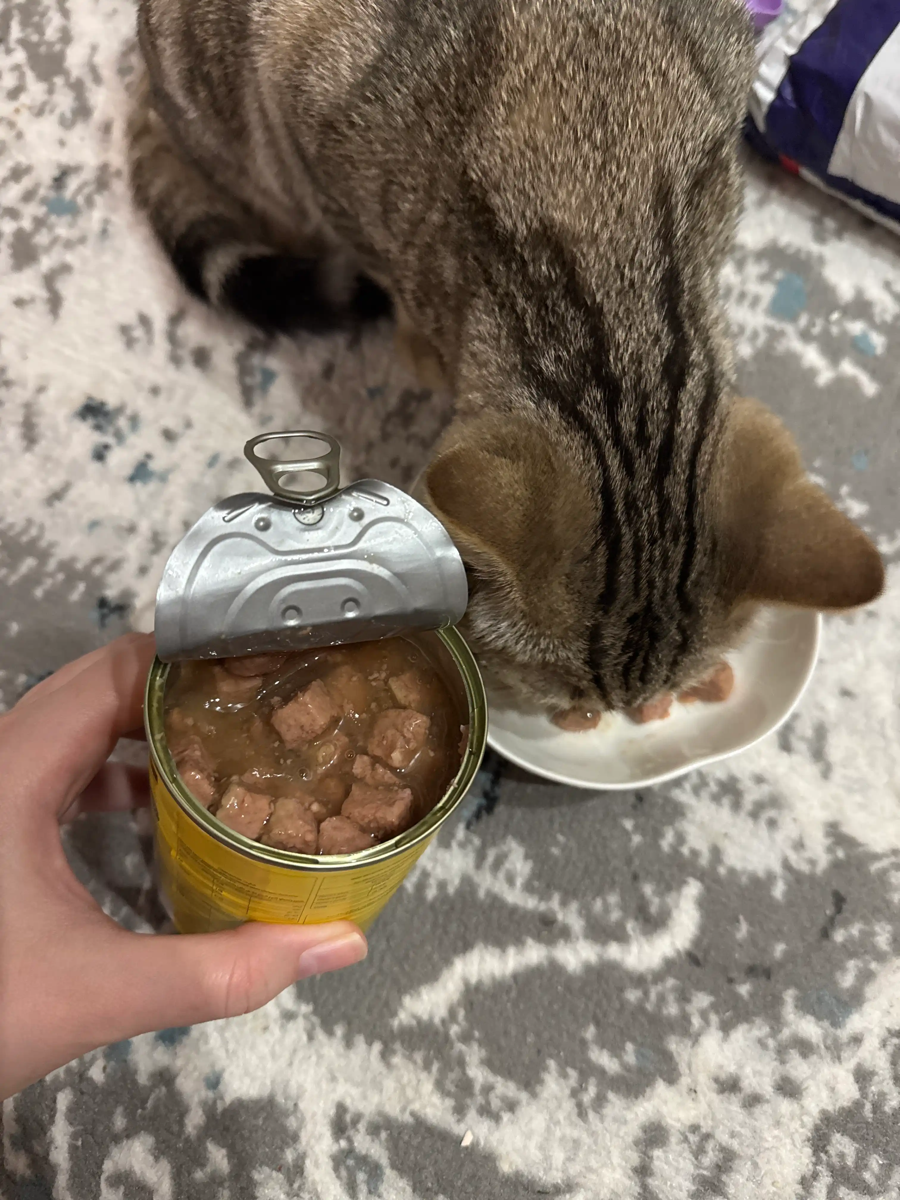 Влажный корм Bado для котят с курицей, 400 г