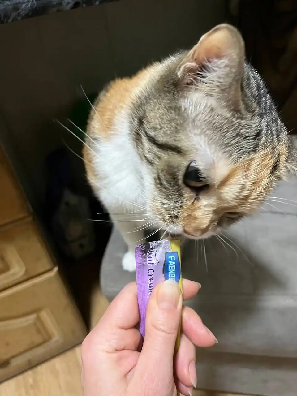 Faenbei Cat Creamy Bar mushuklar uchun shirinligi, mushuklar uchun nam ozuqa, 5 dona x15 g