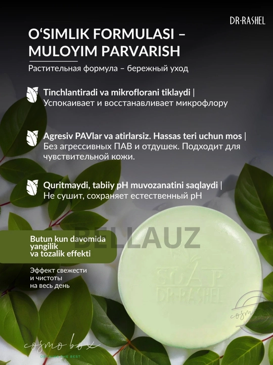 Qayta tiklovchi, antiseptik va intim joylar uchun oqartiruvchi sovunlar Dr.Rashel, 100 gr