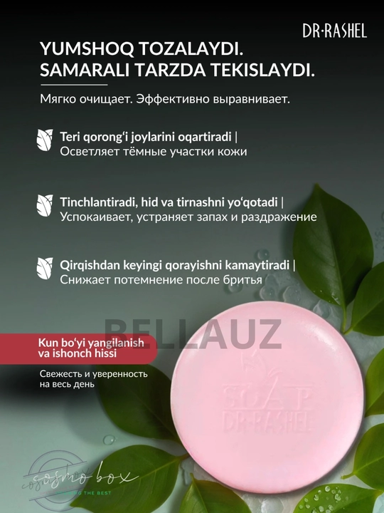 Qayta tiklovchi, antiseptik va intim joylar uchun oqartiruvchi sovunlar Dr.Rashel, 100 gr