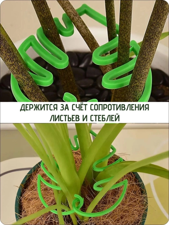 O‘simliklar uchun fiksator plastik poya va barg ushlagich 2 o‘lchamli to‘plam