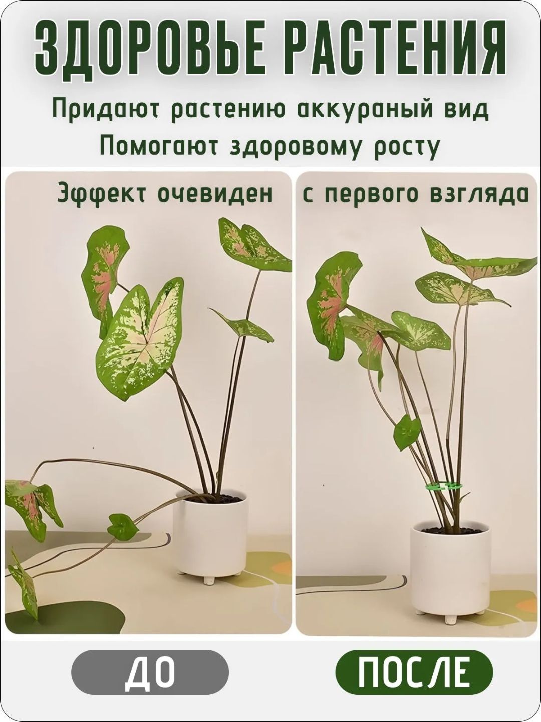 O‘simliklar uchun fiksator plastik poya va barg ushlagich 2 o‘lchamli to‘plam