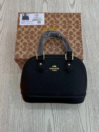Coach Mini Sierra