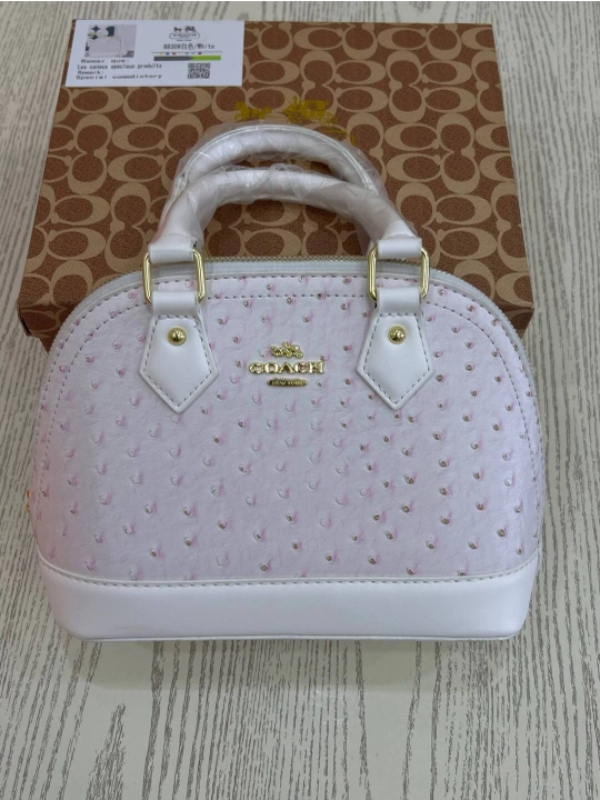 Coach Mini Sierra - 
