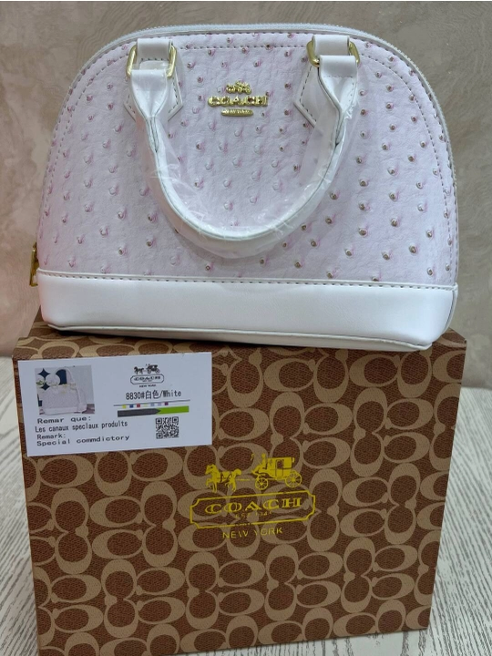 Coach Mini Sierra