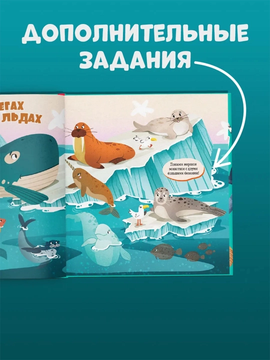 Top va ko‘rsat, bolajon — kichkintoylar uchun yorqin kitob-o‘yin