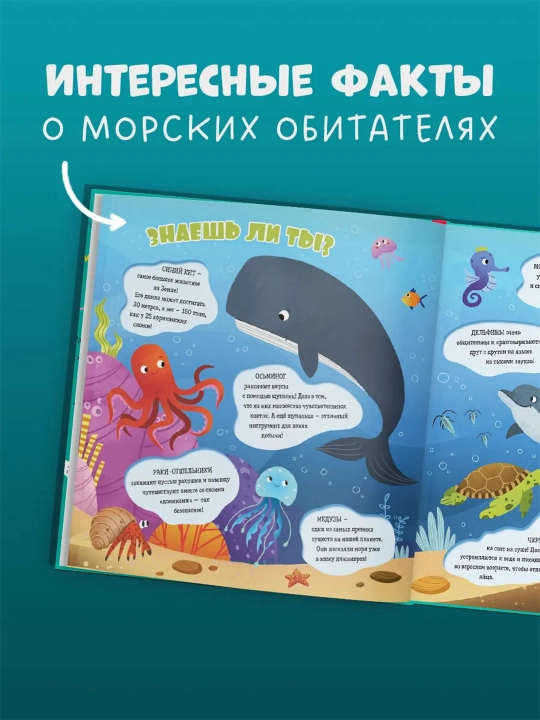 Top va ko‘rsat, bolajon — kichkintoylar uchun yorqin kitob-o‘yin