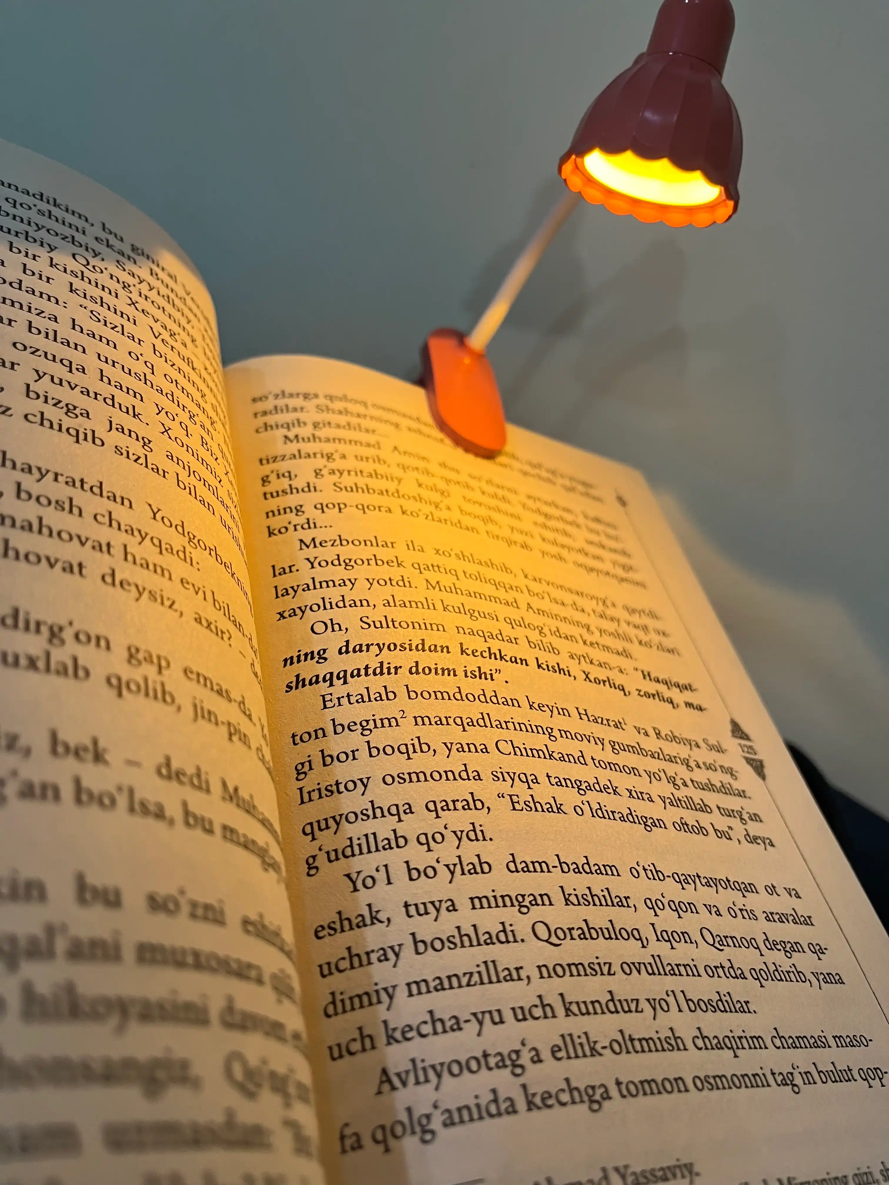 Kitob o‘qish uchun mini LED lampa – klipsali, yumshoq yorug‘lik, 360° egiluvchan, 16 sm