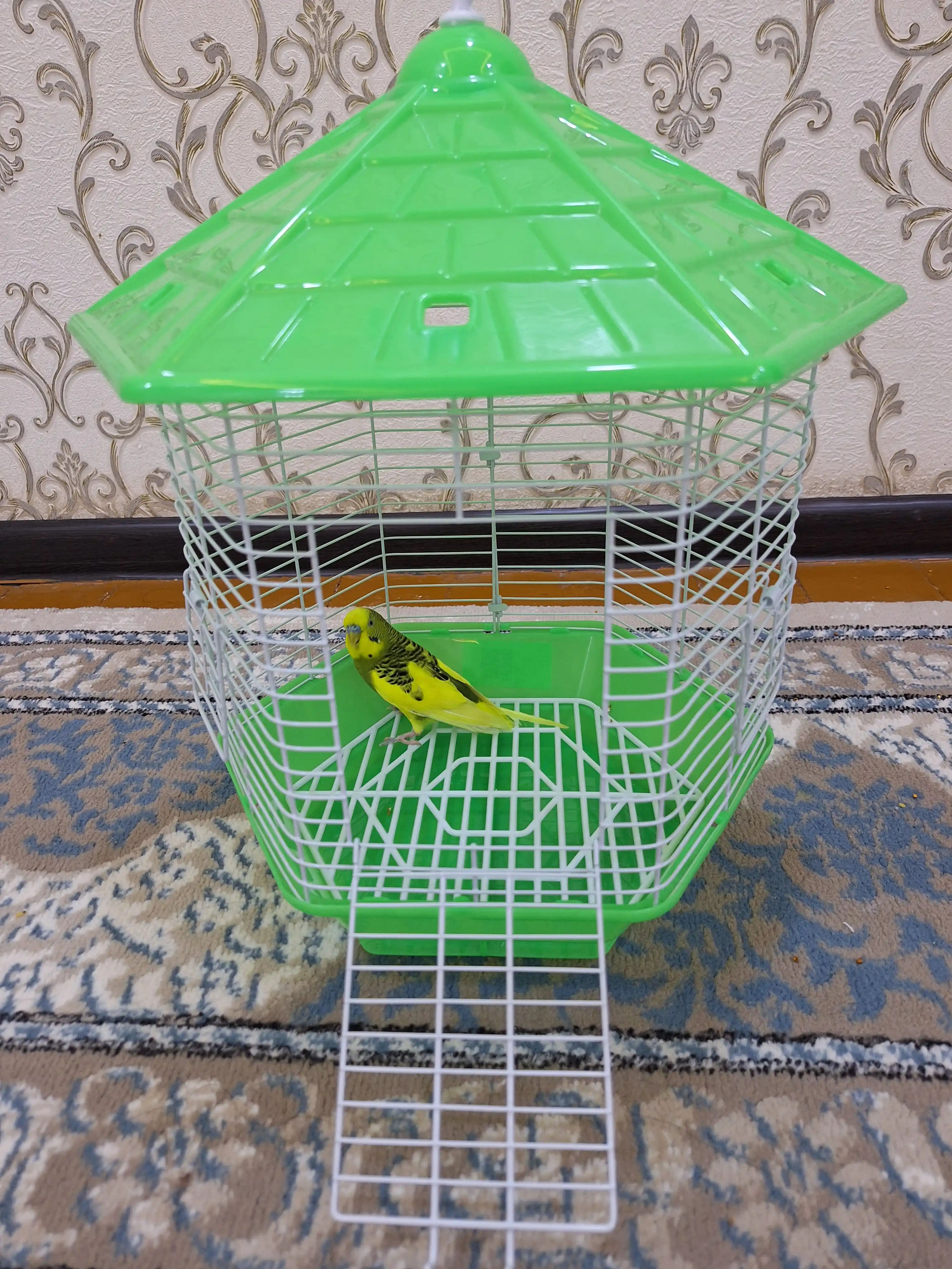Клетка для птиц Беседка 30 x 30 x 42 см