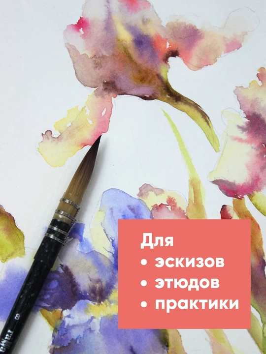 VAN GOGH Premium Sketchbook A4, 46 varoq, spiralli, eskizlar uchun, 4 xil muqova dizayni