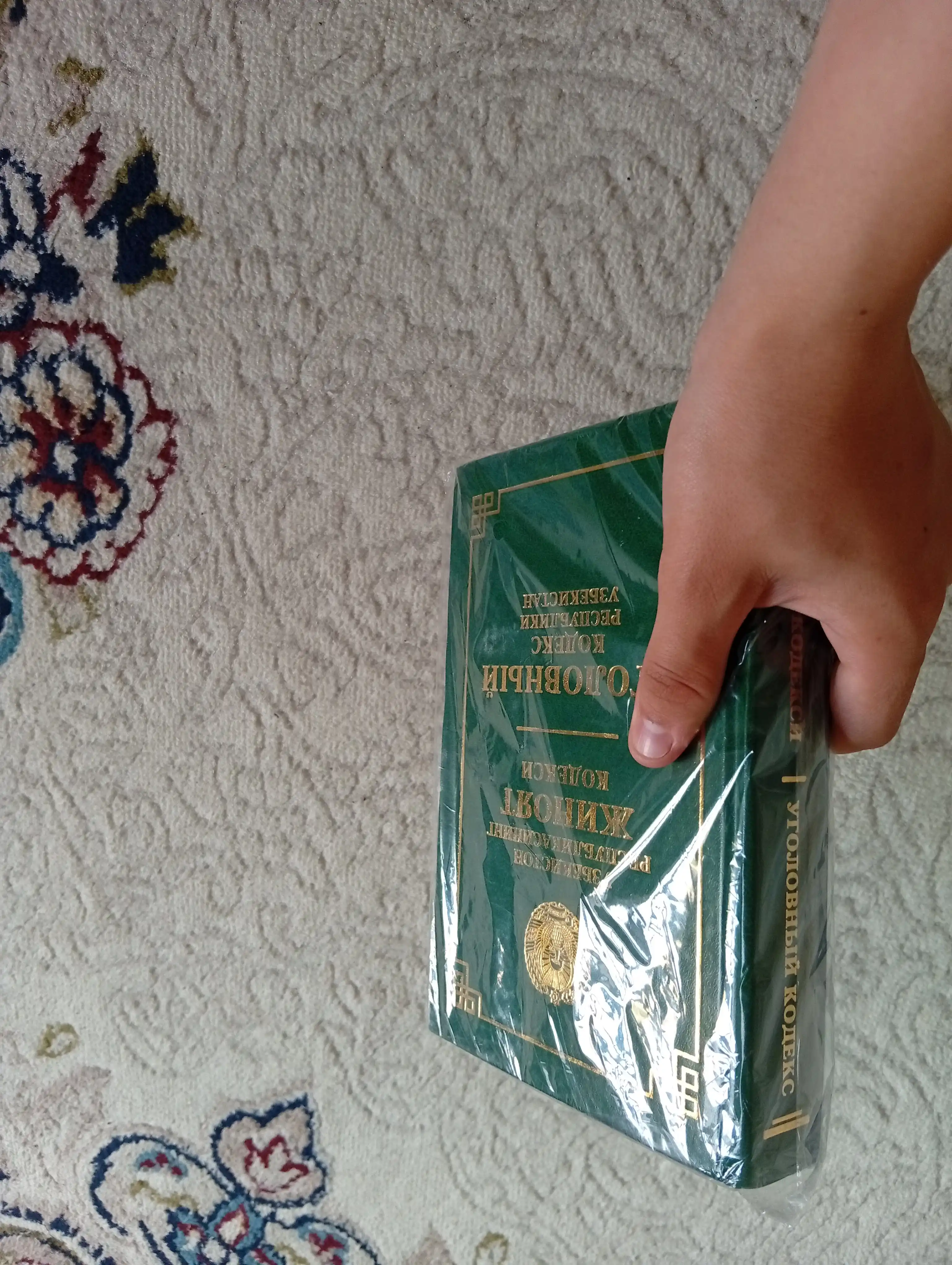 Кодексы Уголовный об административной ответственности, Гражданский процессуальный Трудовой