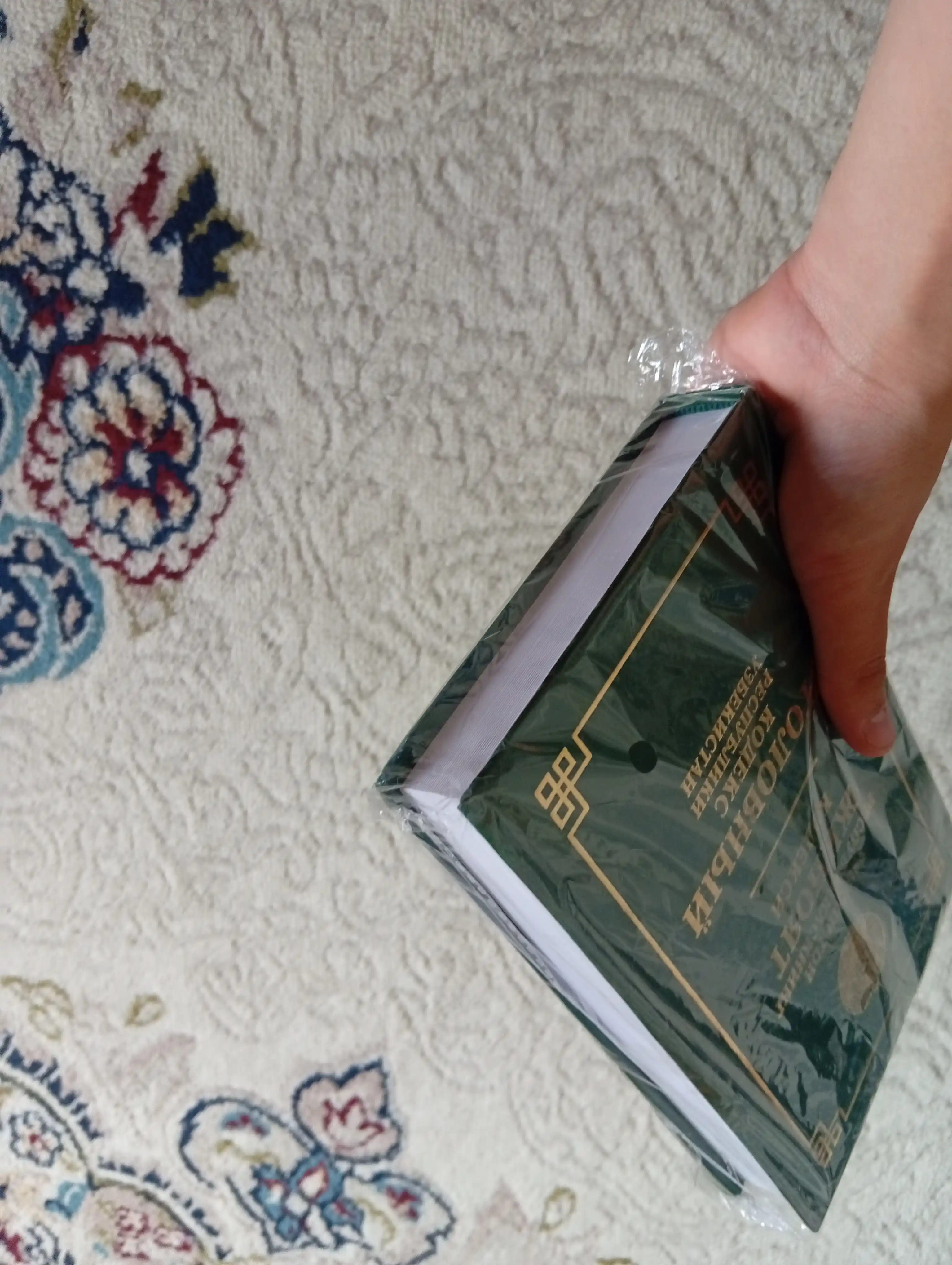 Кодексы Уголовный об административной ответственности, Гражданский процессуальный Трудовой