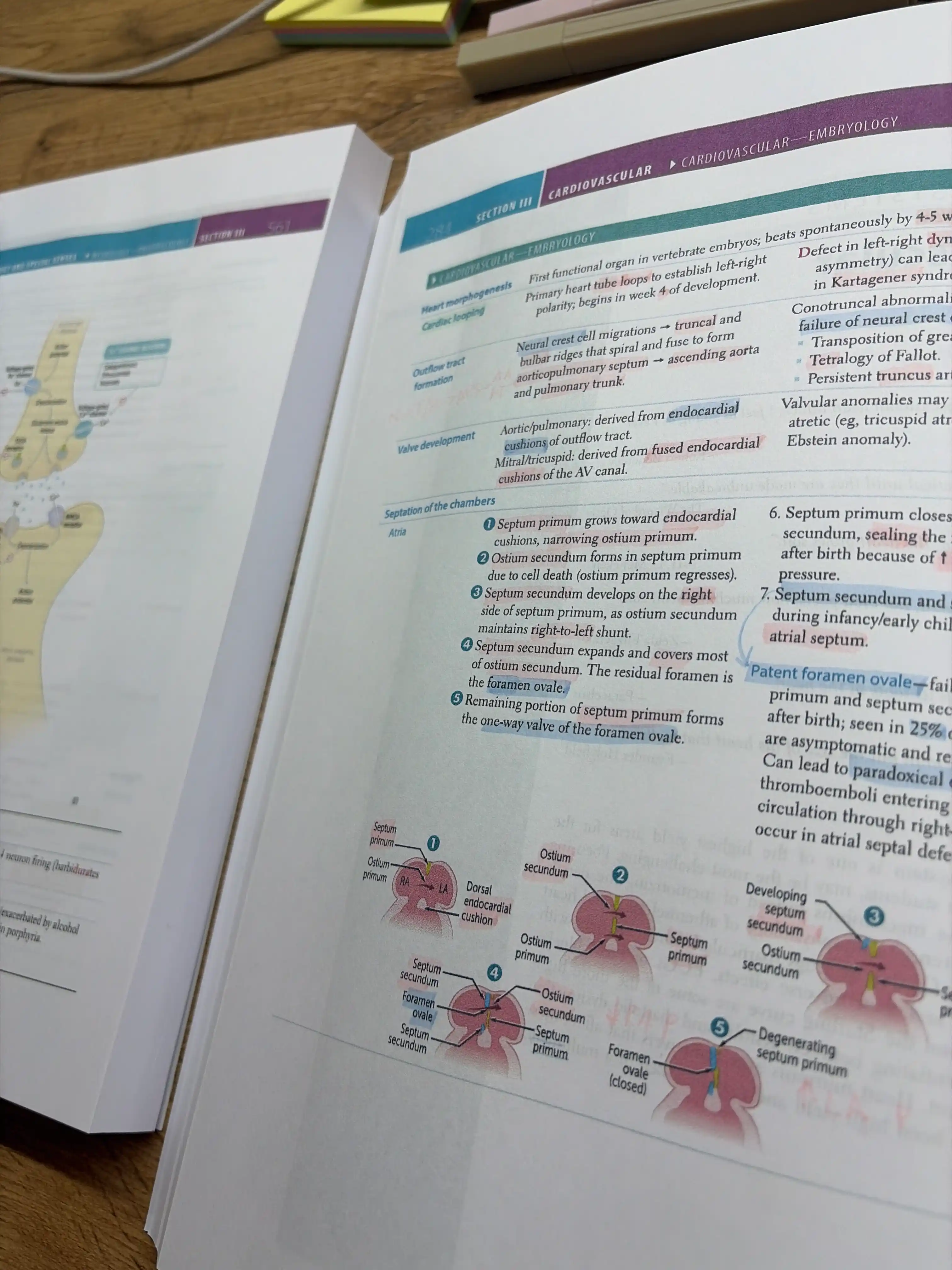 Tibbiyot kitobi, Usmle uchun birinchi yordam 1-qadam 2026, A4 formatidagi imtihonga tayyorgarlik