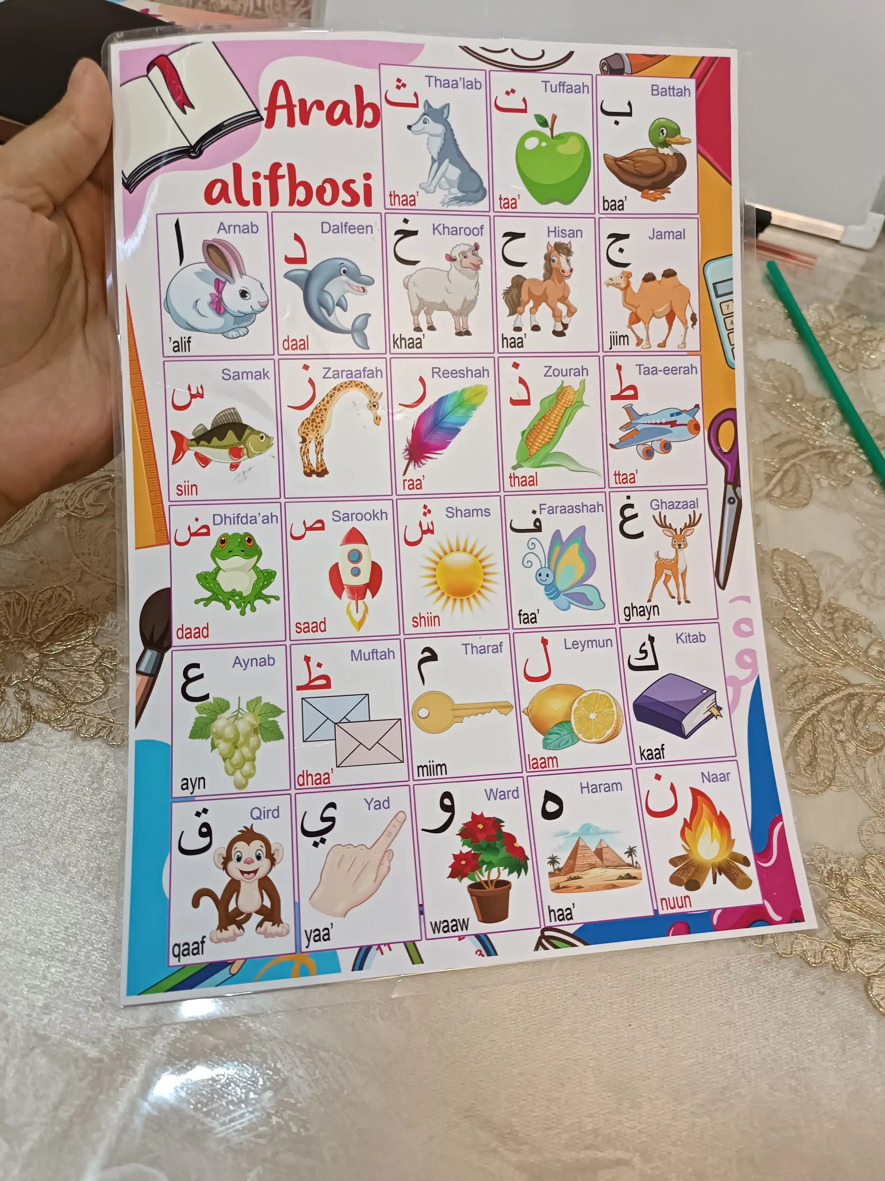 Bir varaqda 2 ta alifboning laminatsiyalangan plakati: o’zbek, rus, ingliz, arab