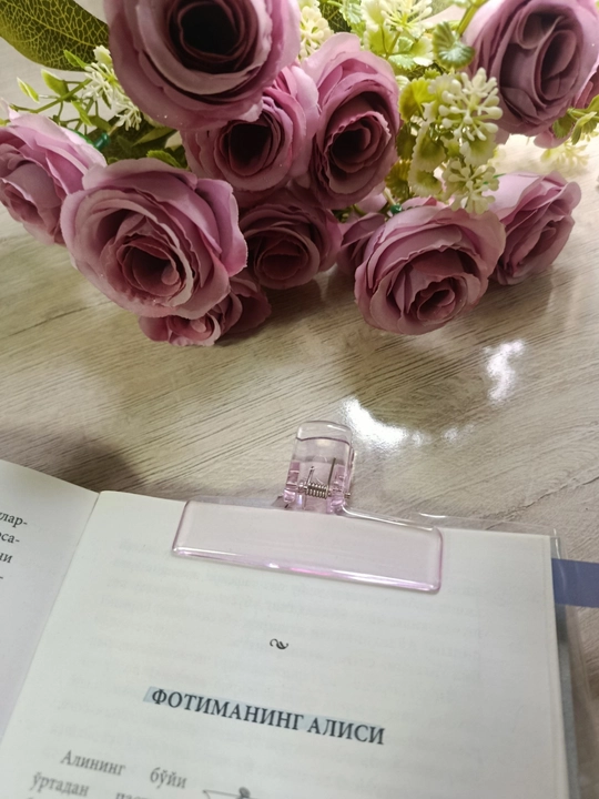 Estetik kitob qisqich, Sahifa ushlagich, Kitob uchun qisqich, To'plamda 2 dona