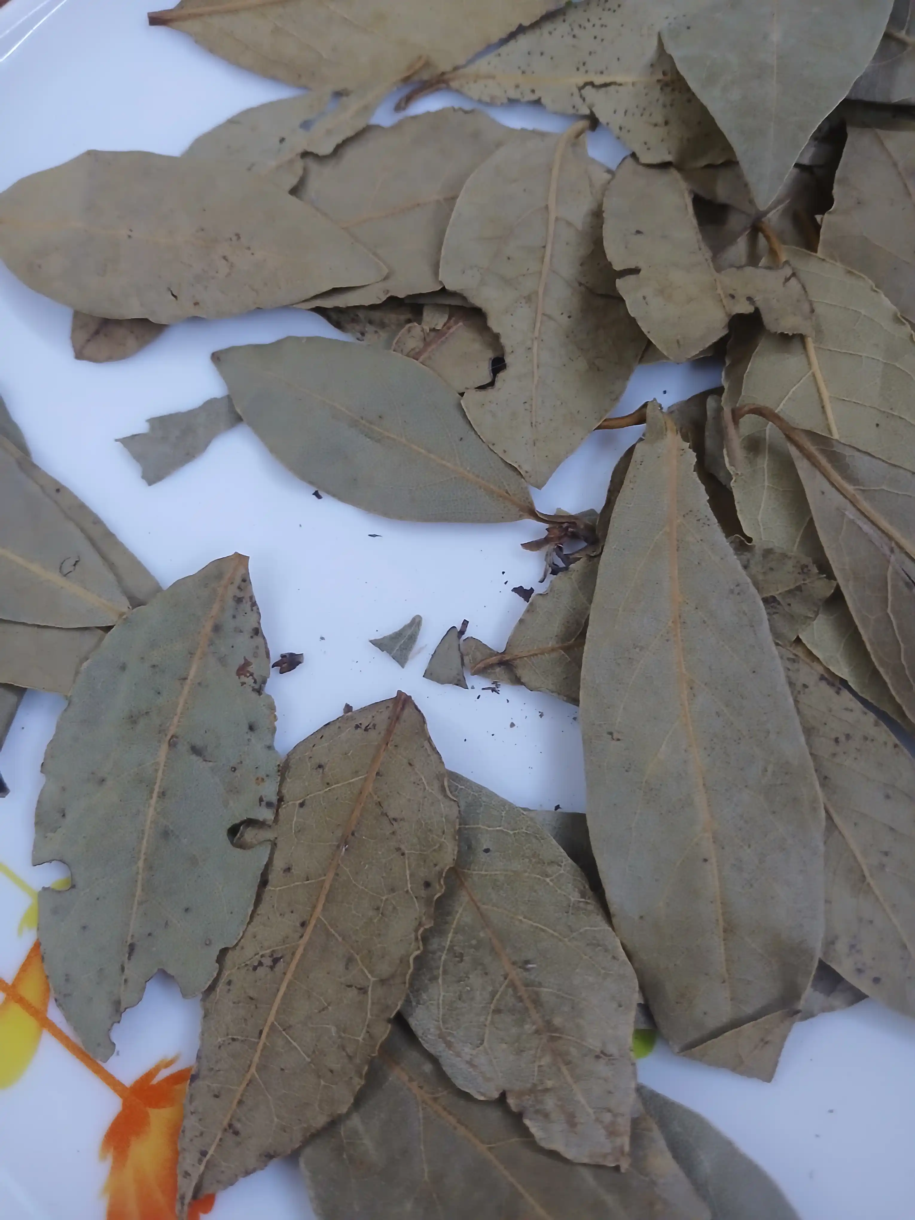 Dafna yaprog‘i "GRAND SPICE" 15 g