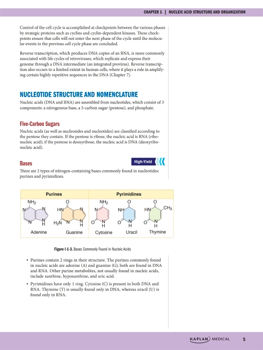 PRECLINICAL BIOCHEMISTRY AND MEDICAL GENETICS REVIEW2023 — SAM TURCO, PHD