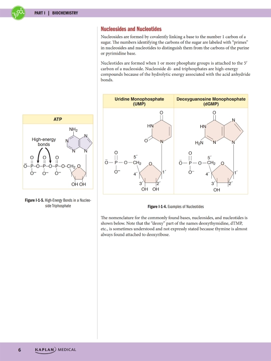 PRECLINICAL BIOCHEMISTRY AND MEDICAL GENETICS REVIEW2023 — SAM TURCO, PHD