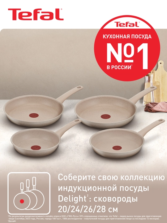 Tova Tefal Delight, 28 sm, G2930602