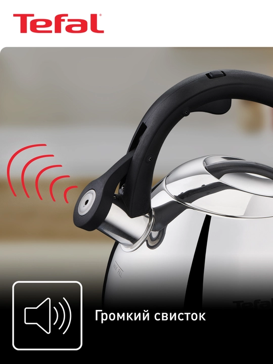 Чайник для плиты Tefal Duetto+ 2,7 л N4180110