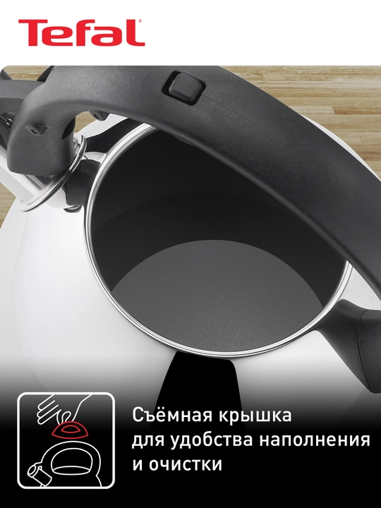 Чайник для плиты Tefal Duetto+ 2,7 л N4180110