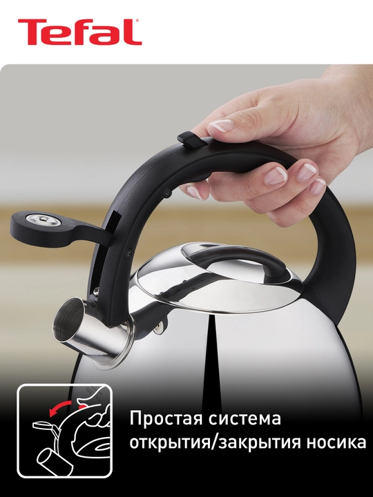 Чайник для плиты Tefal Duetto+ 2,7 л N4180110