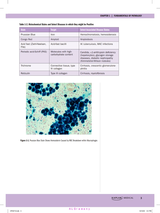 PRECLINICAL PATHOLOGY REVIEW 2023 — JOHN BARONE, MD