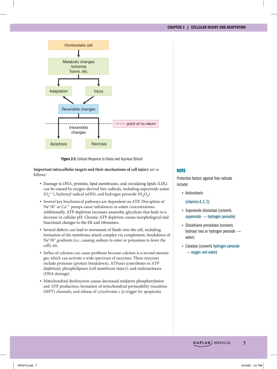 PRECLINICAL PATHOLOGY REVIEW 2023 — JOHN BARONE, MD