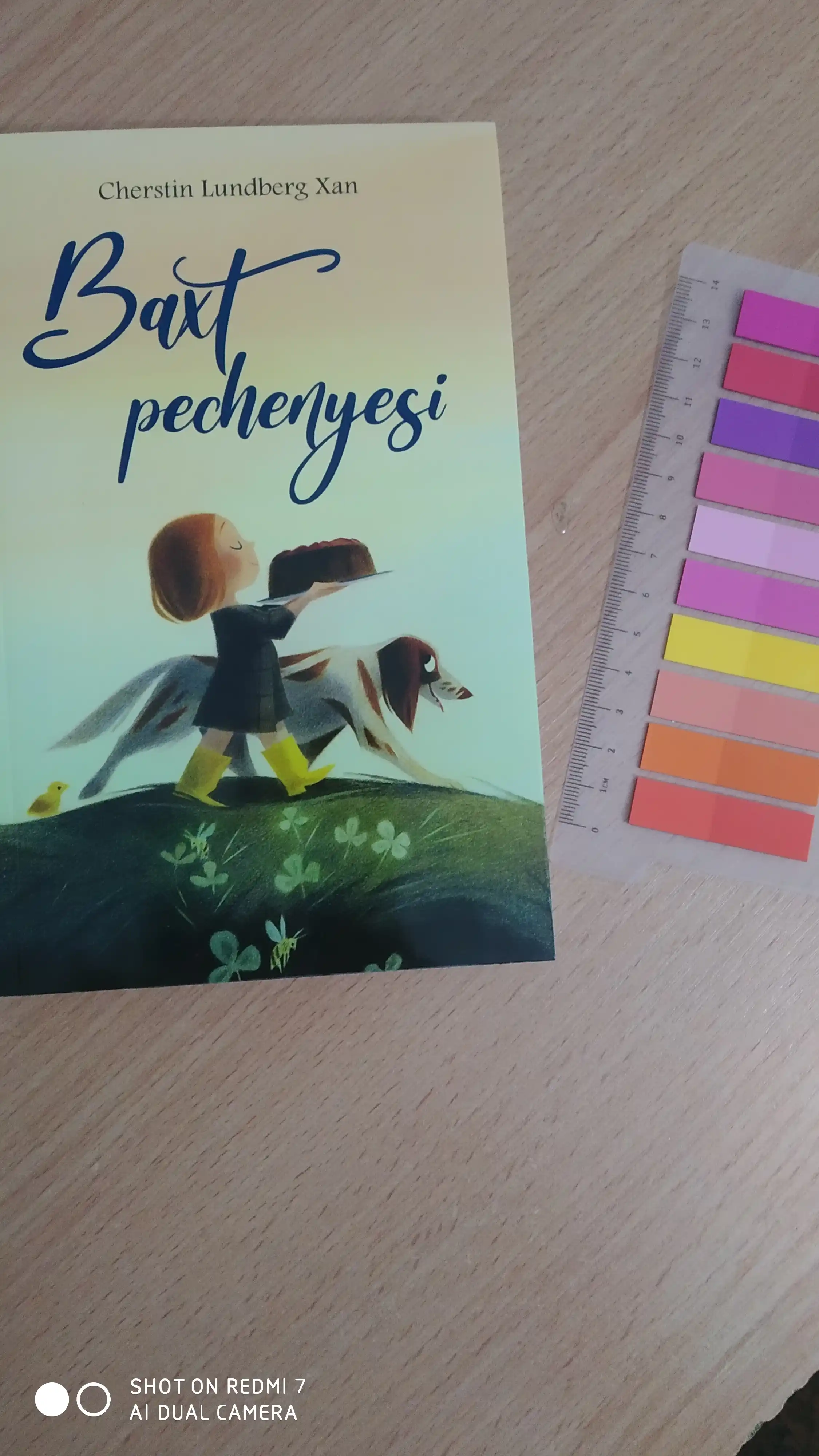 Бахт печеньеси. Черстин Люндберг Хан
