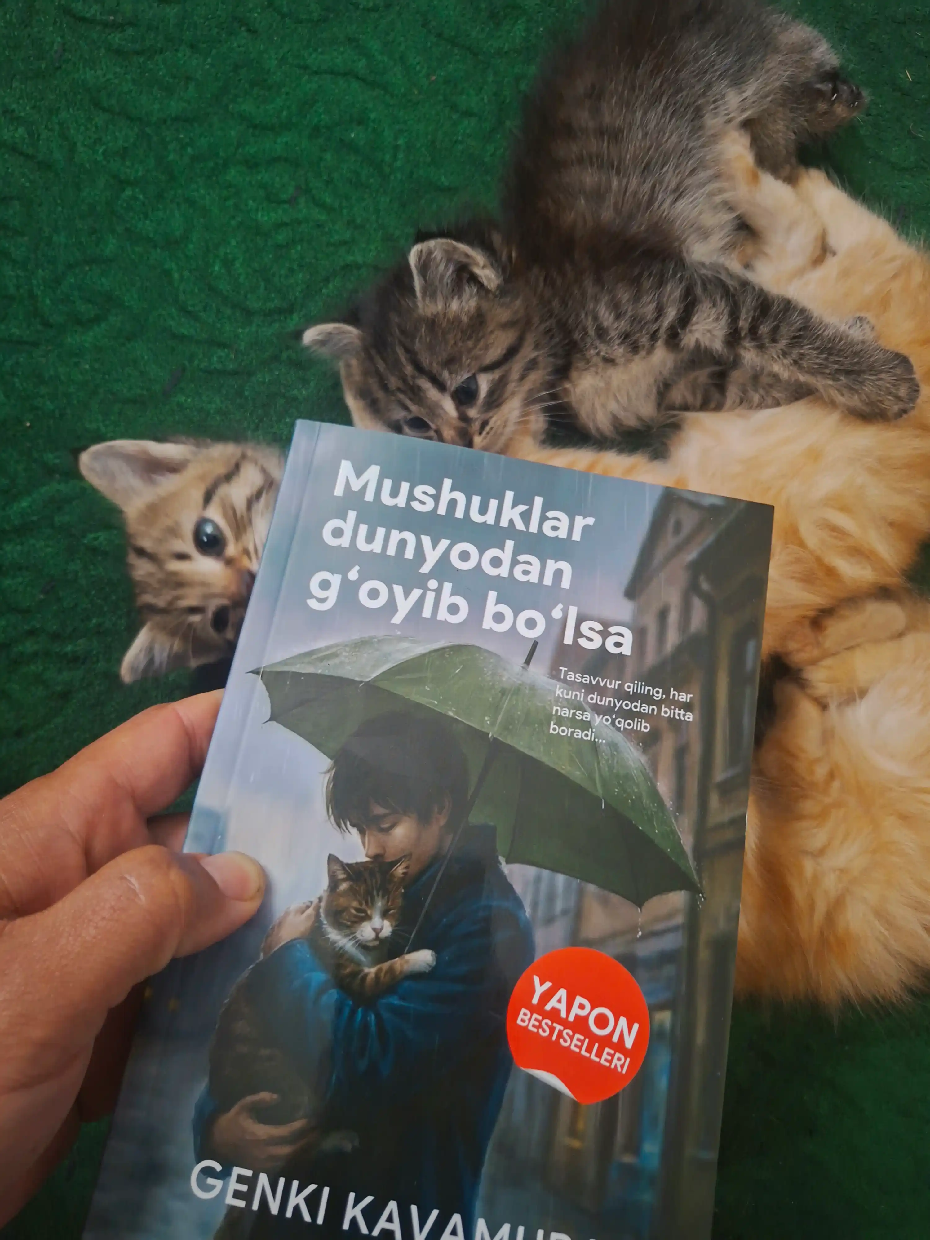 Если все кошки в мире исчезнут, Генки Кавамура